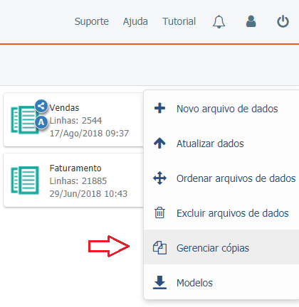Manage copies desktop pt-BR.png