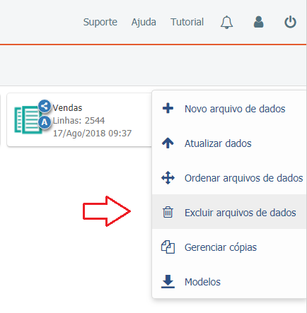 Delete datasources pt-BR.png